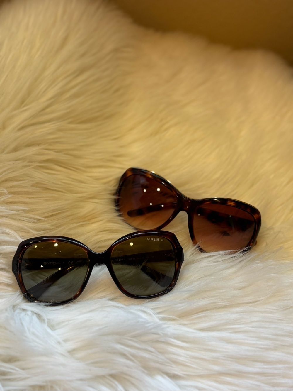 BUNDLE: SunGlasses